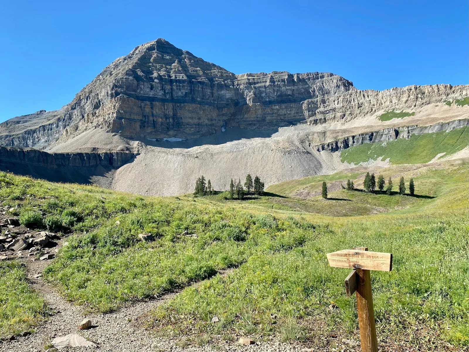 Mount Timpanogos rising above the Aspen Grove trail