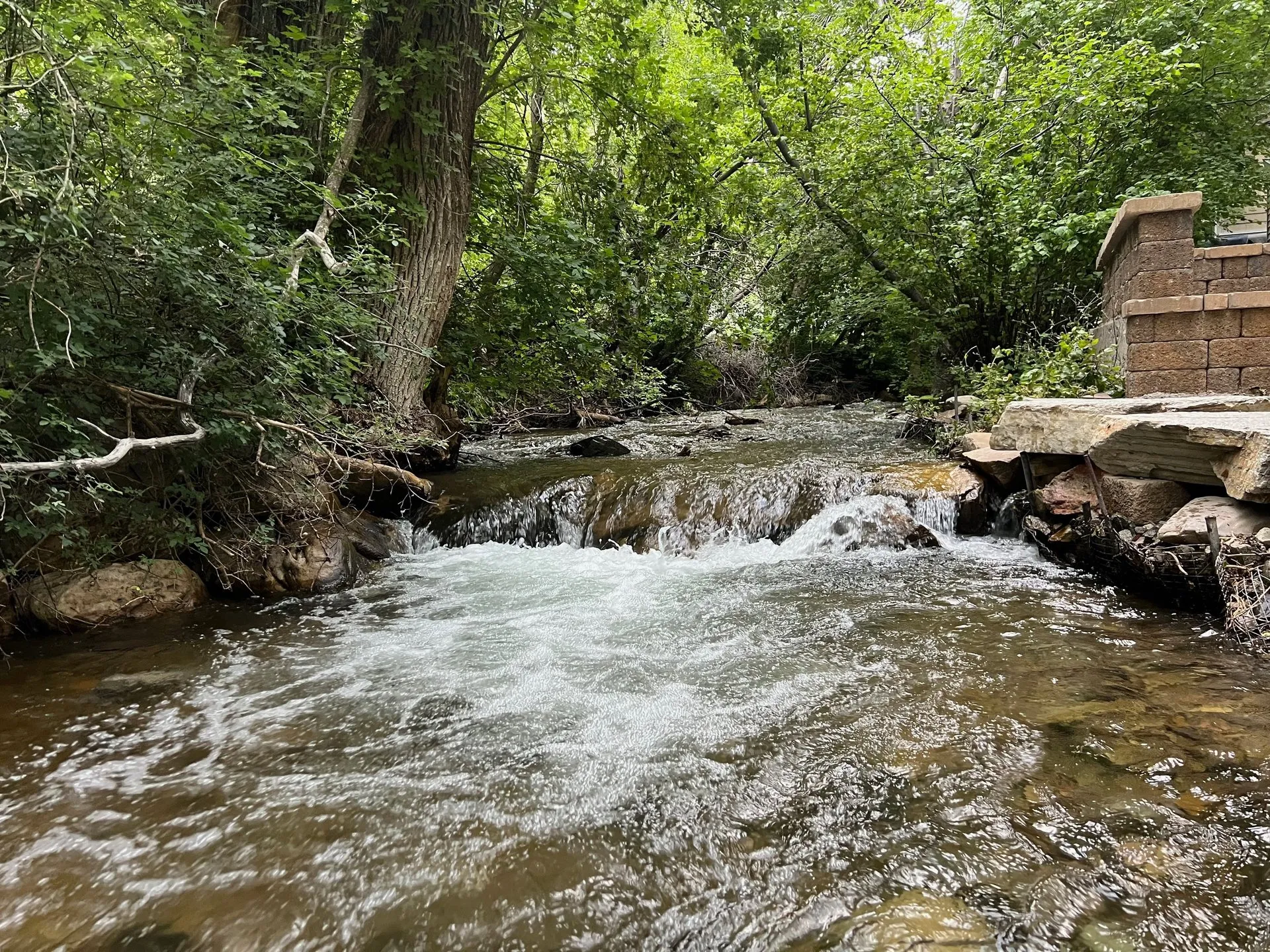 The creek running right behind the cabin's patio