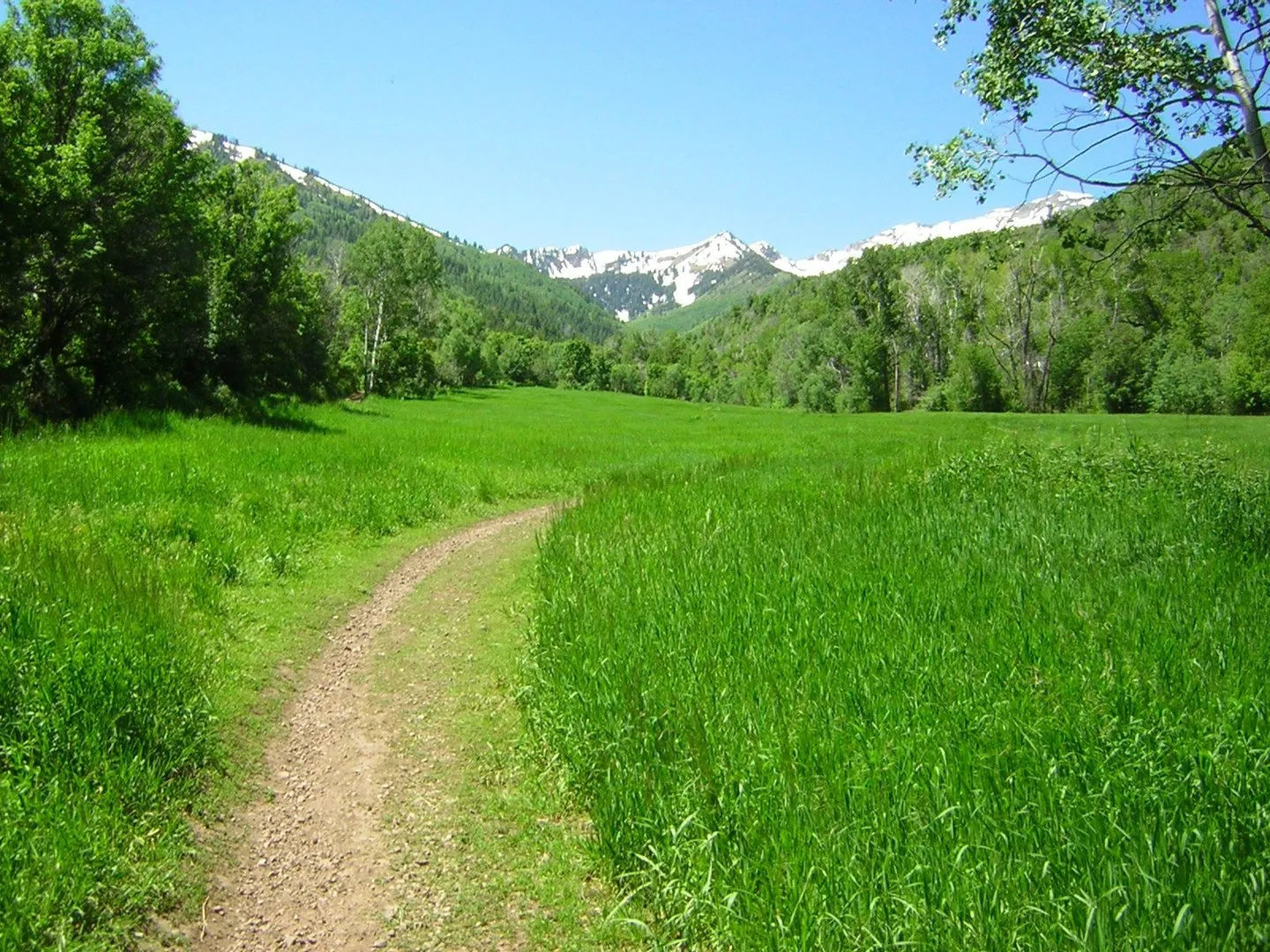 Big Springs Hollow Loop