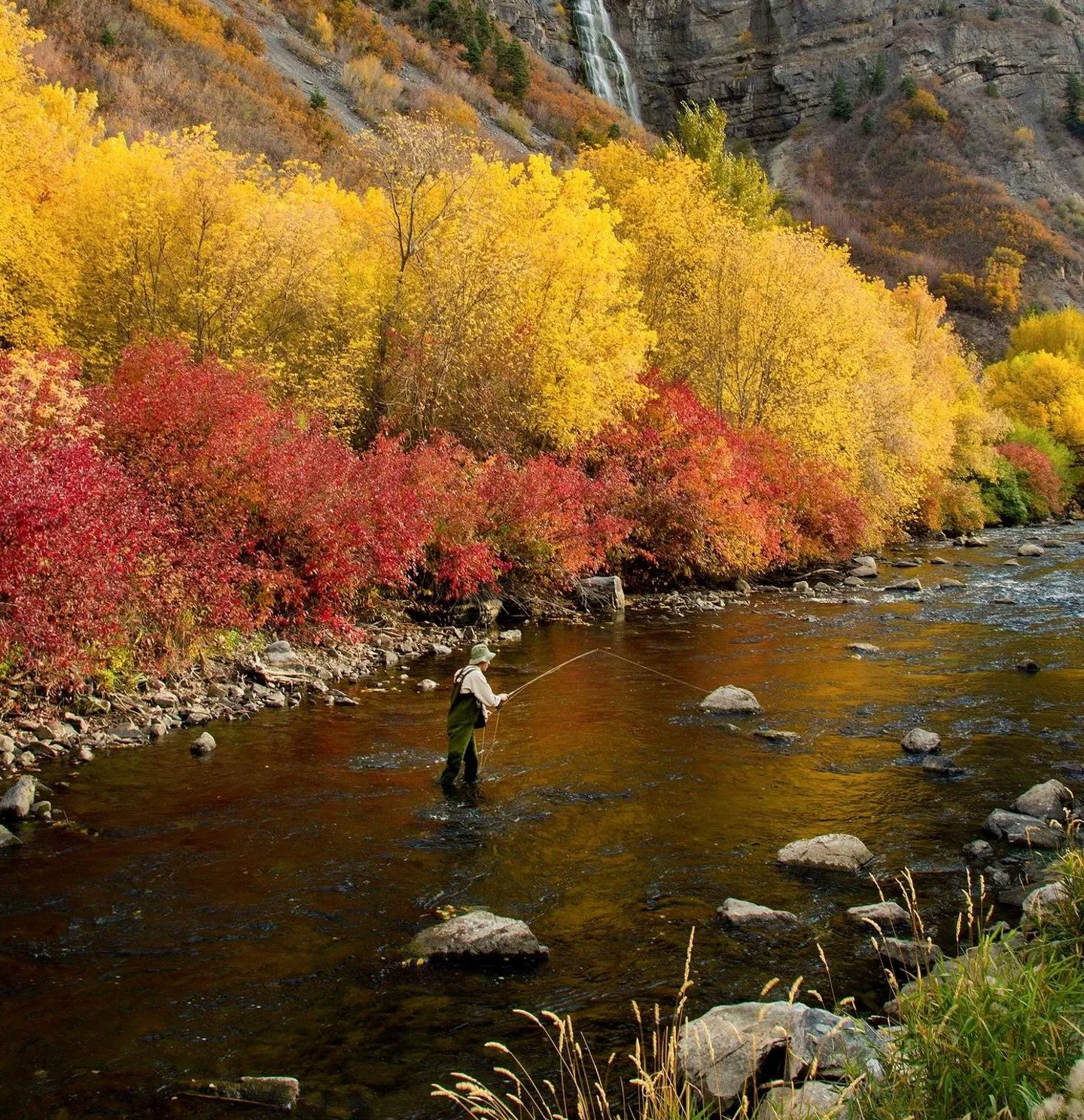 Lower Provo River
