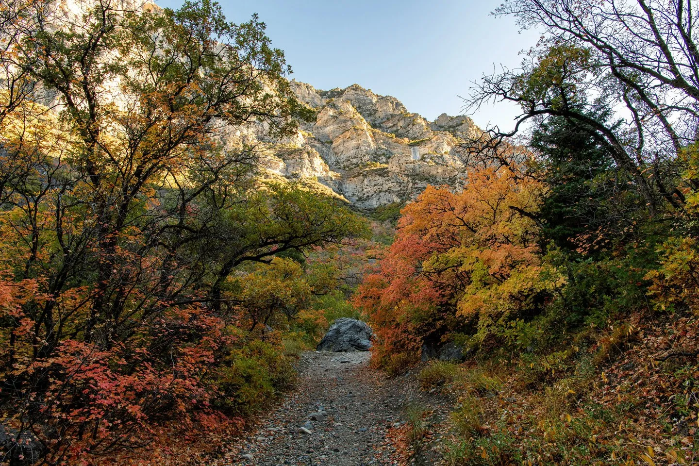 Rock Canyon