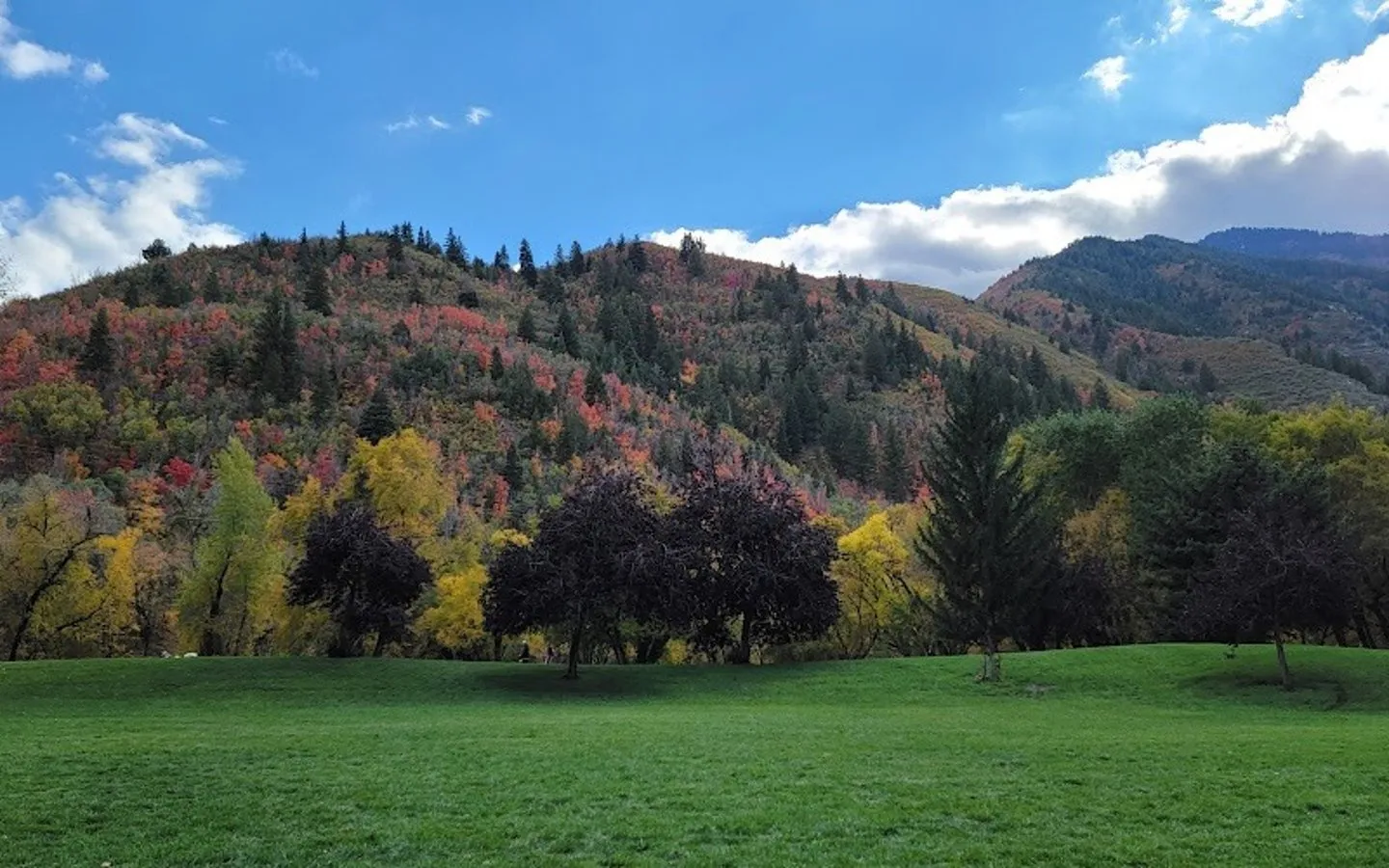 South Fork Park