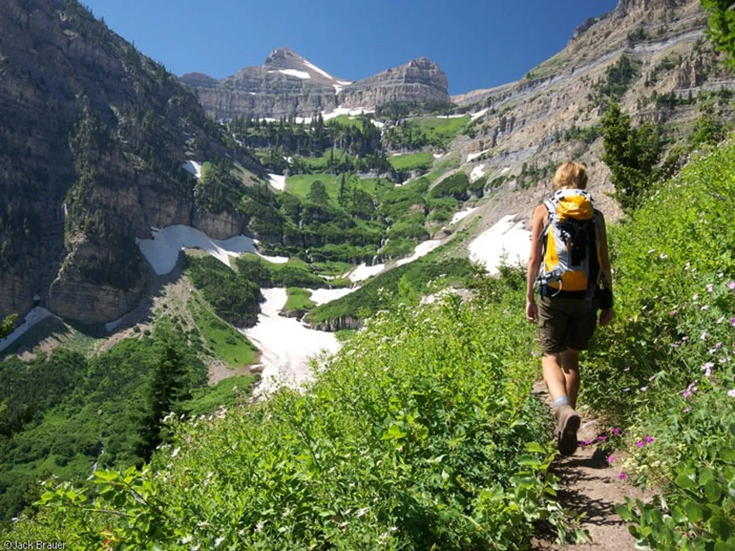 Mt. Timpanogos